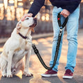 Car safety restraint strap for dogs