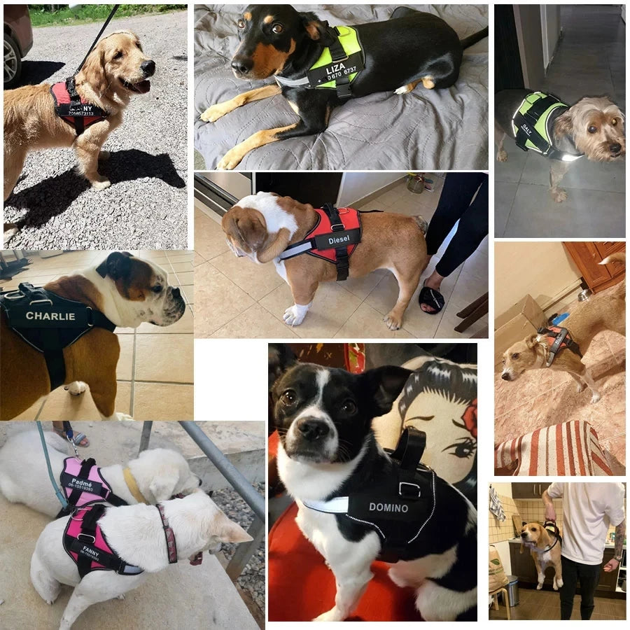 Reflective, No Pull personalized  Dog Harness