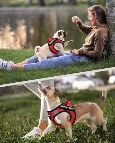 Lightweight Service Vest for Small Dogs
