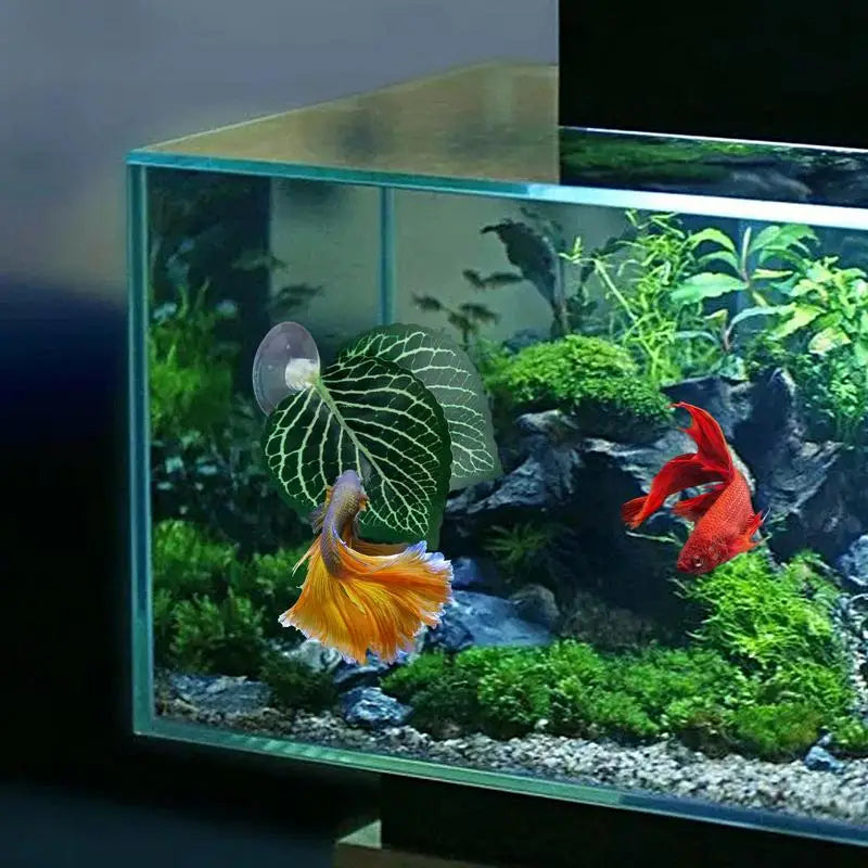 Aquarium fish Leaf Hammock
