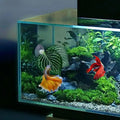 Aquarium fish Leaf Hammock