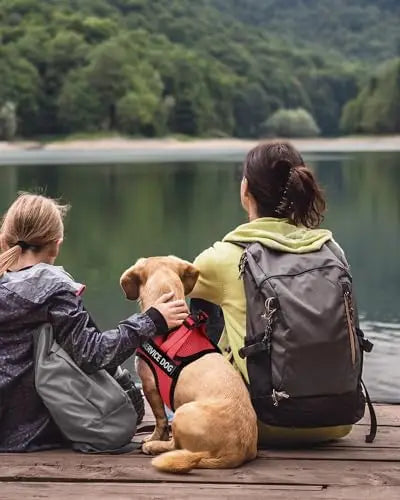 Lightweight Service Vest for Small Dogs