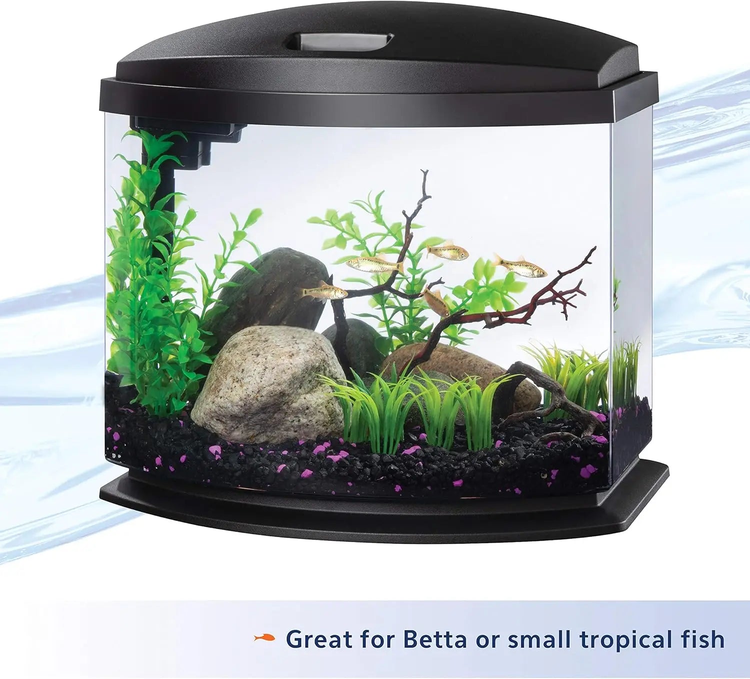 5 Gallon LED Mini Aquarium Fish Tank Kit with SmartClean Technology