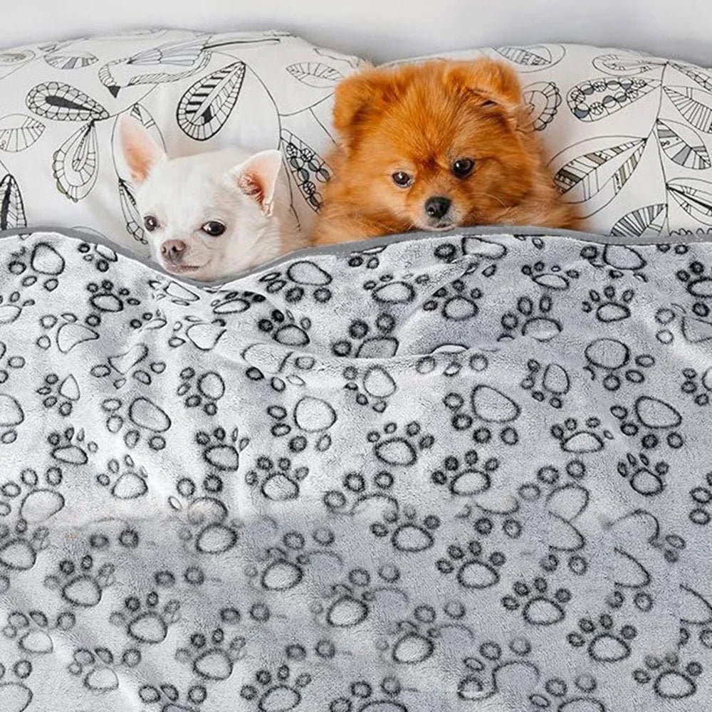 Winter Soft Dog or cat Blanket Washable