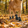 4Pcs All-Weather Dog Shoes