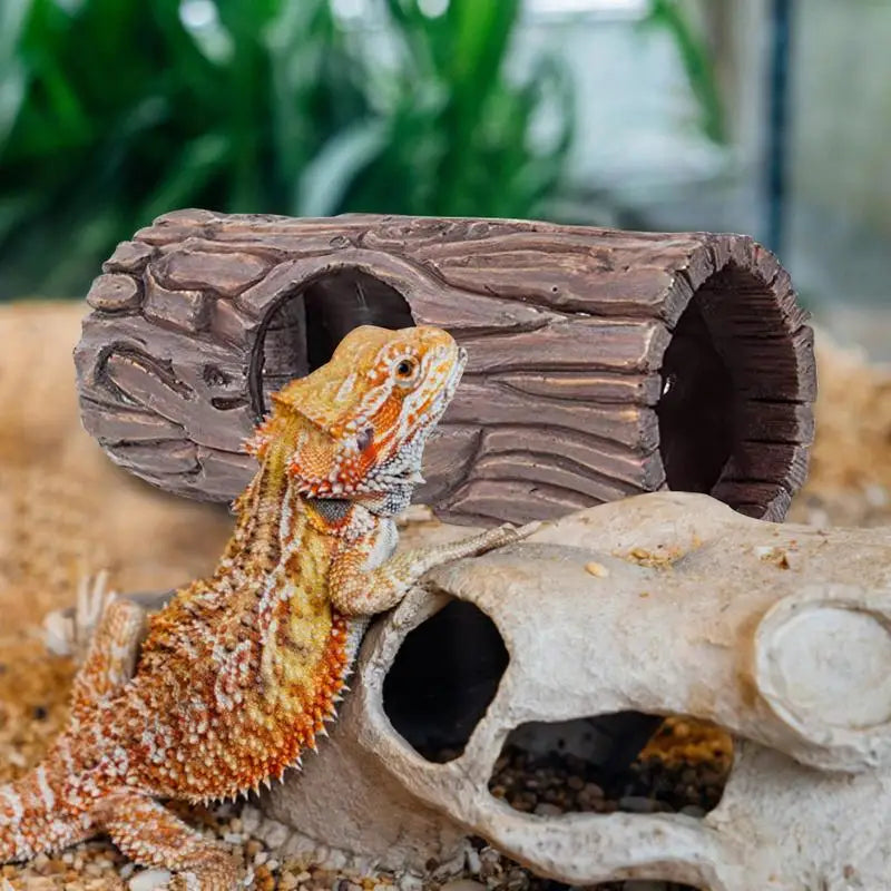 Hiding Cave for fish and Reptiles