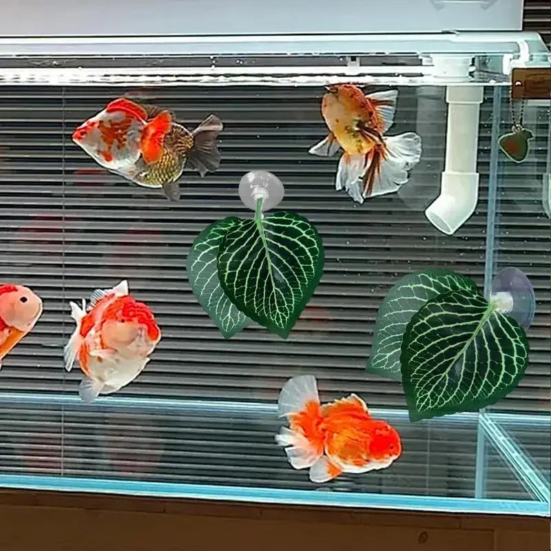 Aquarium fish Leaf Hammock