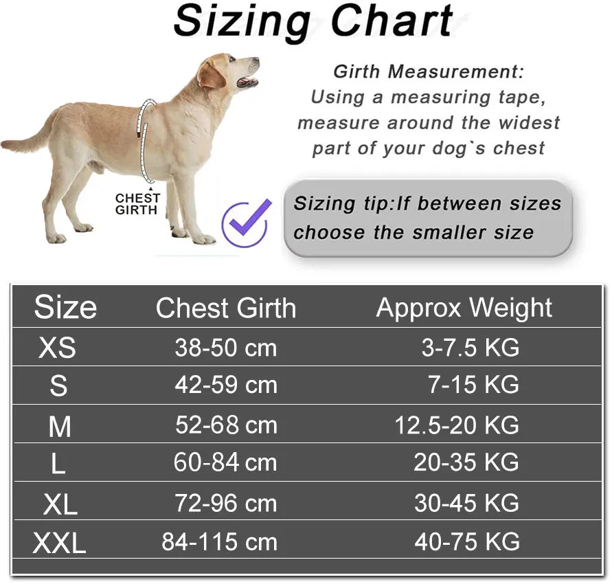 Reflective, No Pull personalized  Dog Harness