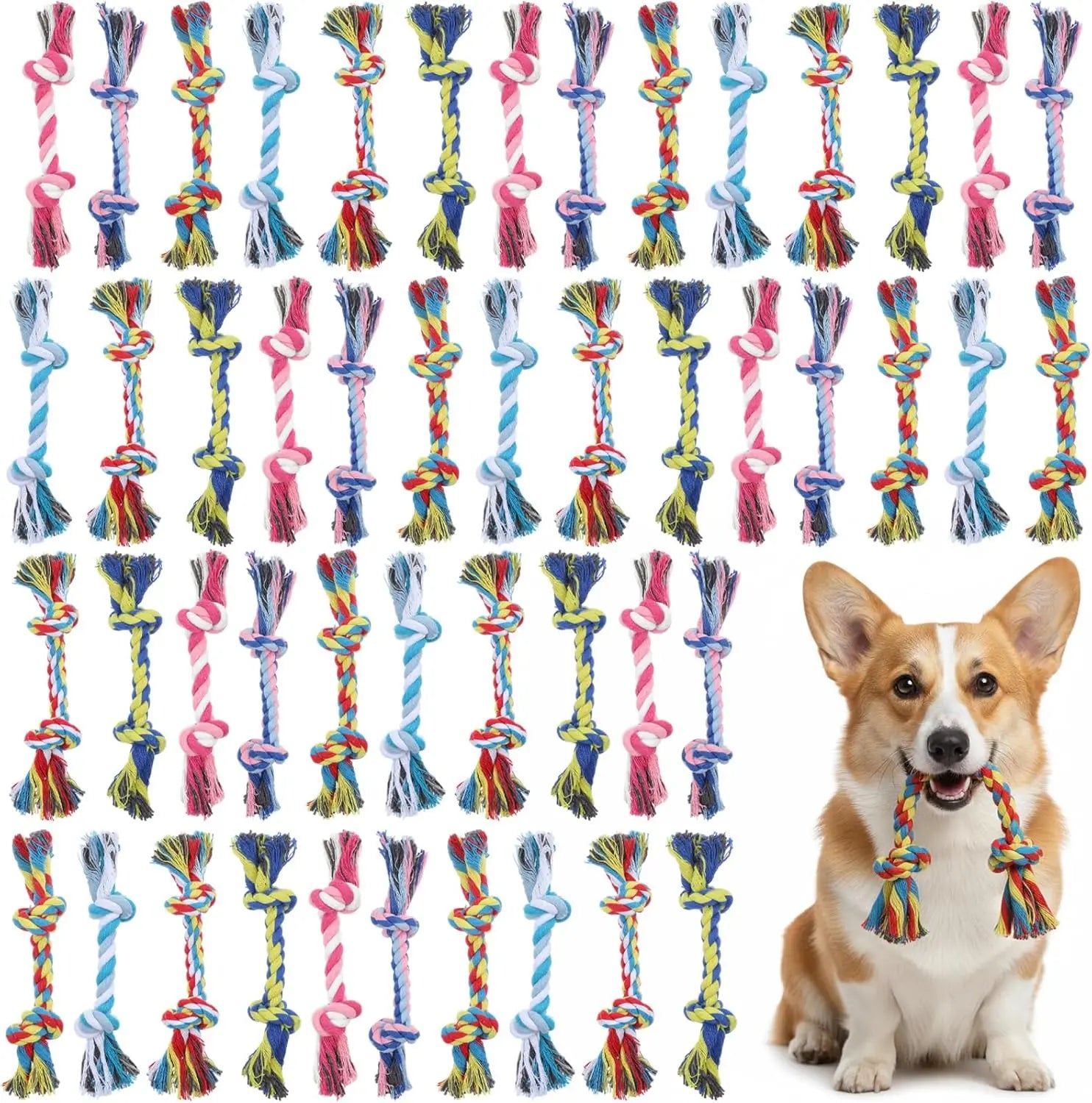 Interactive Braided Dog Chew Ropes