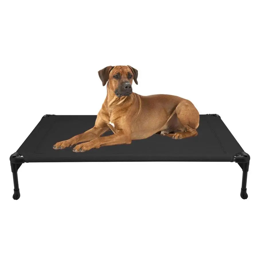 Outdoor Elevated Dog Bed