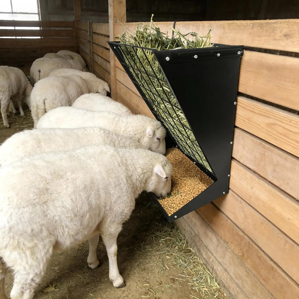 Wall Mount Hay & Grain Livestock Feeder