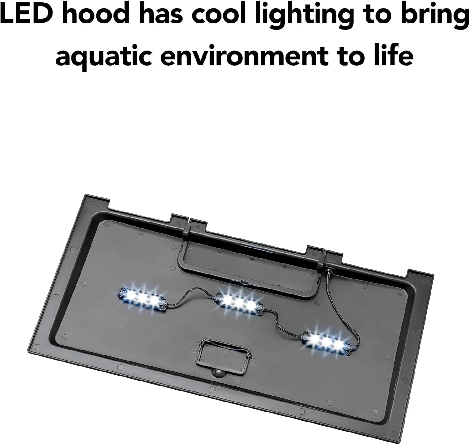 Complete 10 Gallon Aquarium Starter Kit with LED Lighting