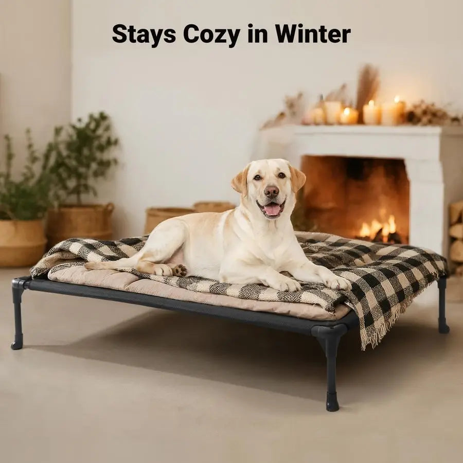 Outdoor Elevated Dog Bed