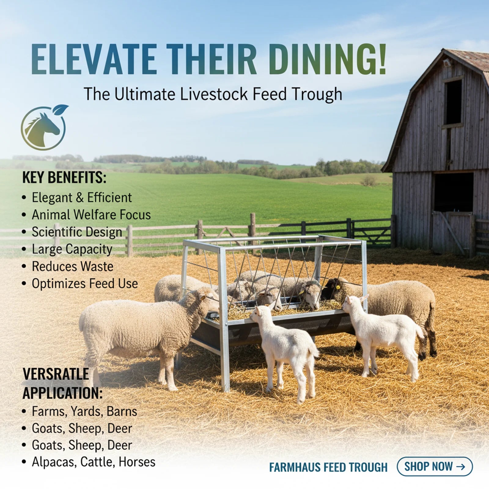 Large Standing livestock Feed Trough