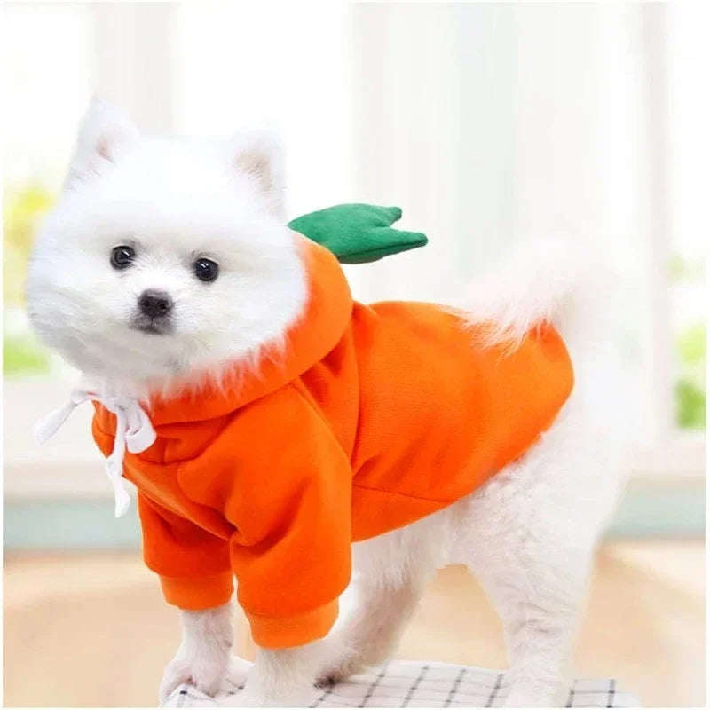 Warm Fleece pet costume; Dogs, cats Clothes Apple, Banana, Carrot, Fruit.