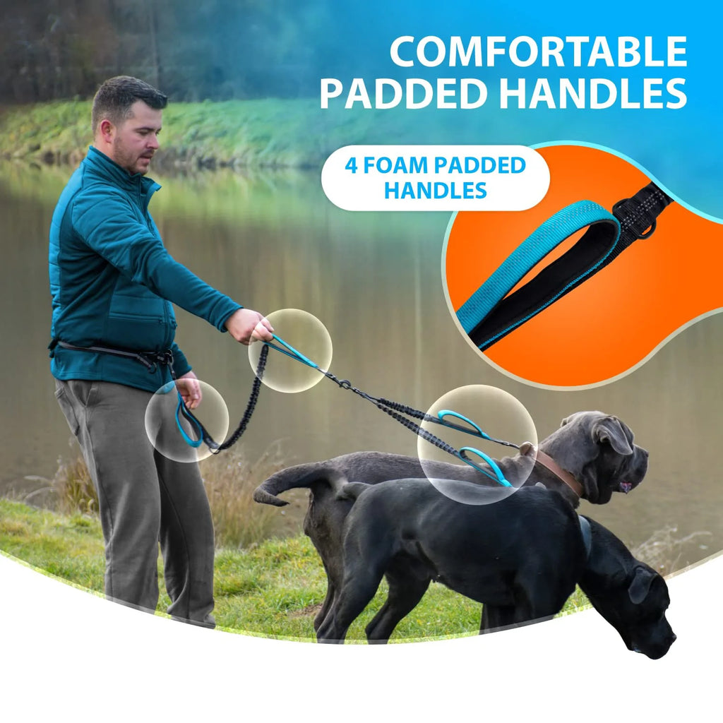 Explosion-Proof Short Elastic Buffer Pet Leash