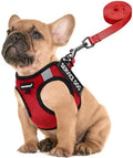 Lightweight Service Vest for Small Dogs