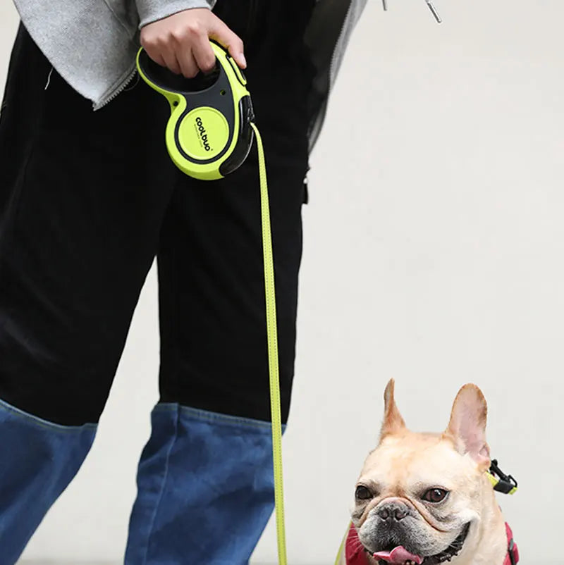Automatic Retractable Leash