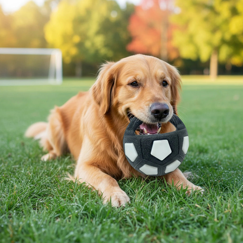 Interactive Squeaky Pet Football for Medium Large Breeds