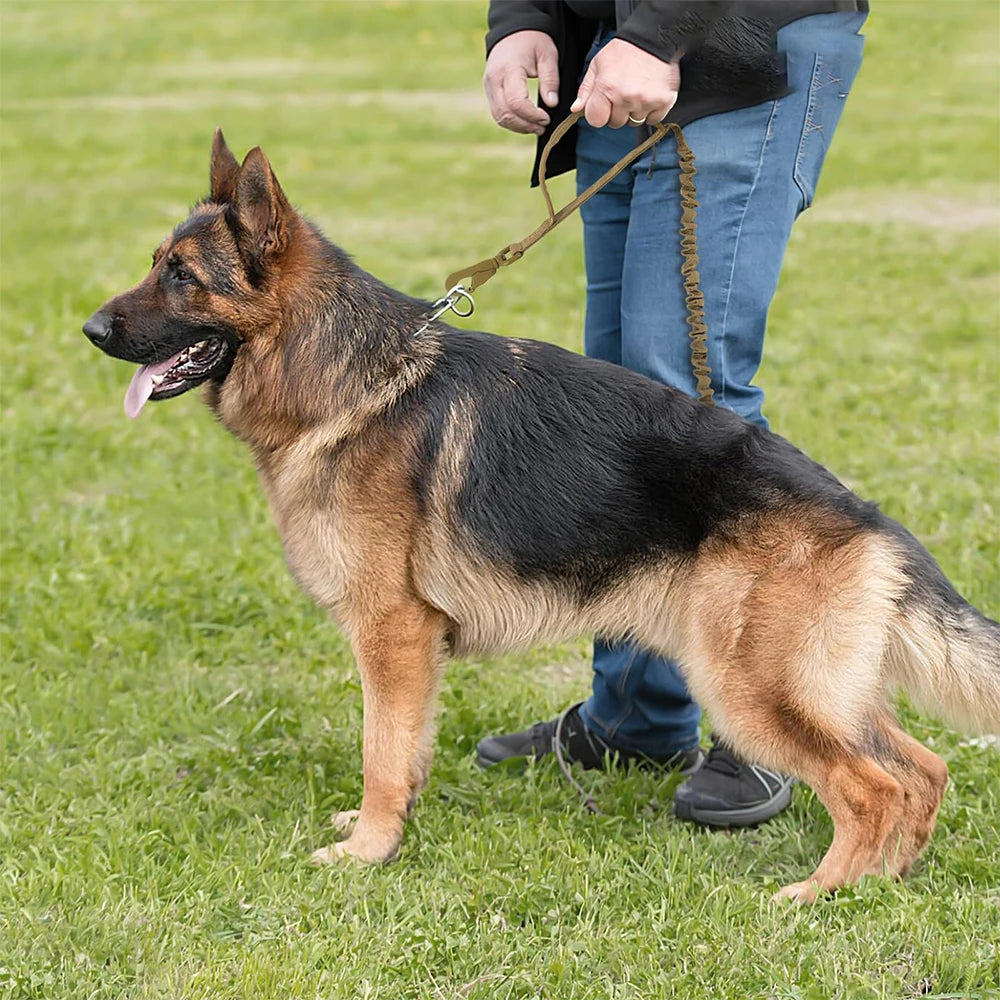 Military Dog Leashes, Adjustable, Quick Release