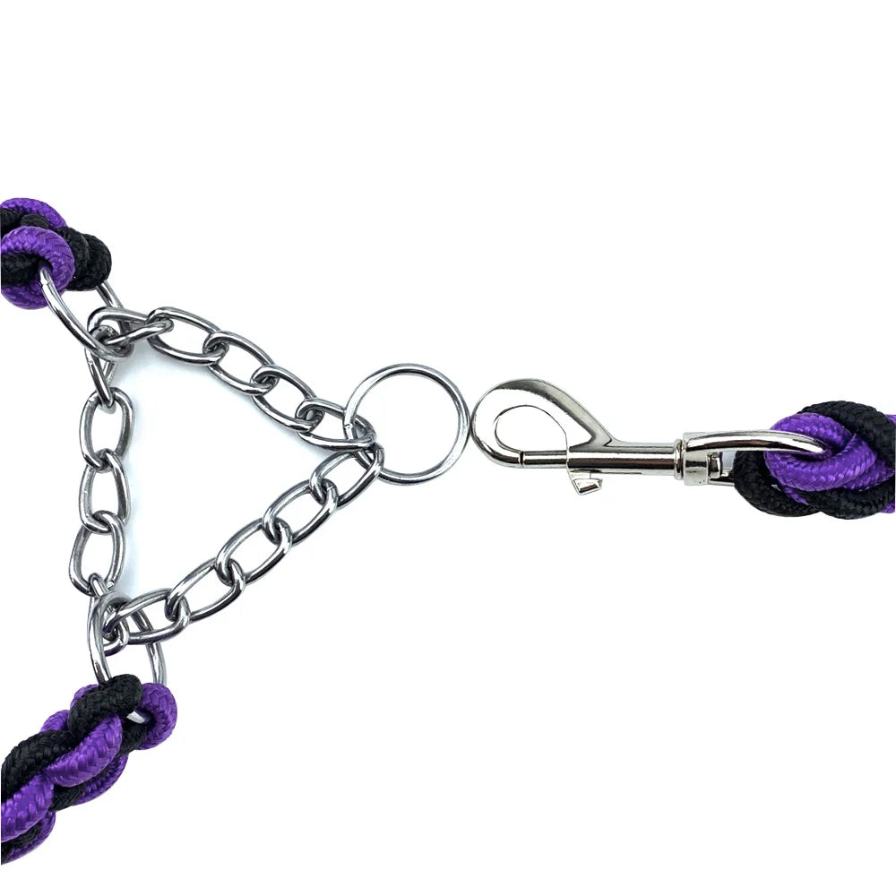 Nylon Braided Dog Collar And Leash