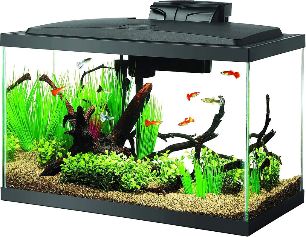 Complete 10 Gallon Aquarium Starter Kit with LED Lighting