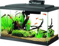 Complete 10 Gallon Aquarium Starter Kit with LED Lighting
