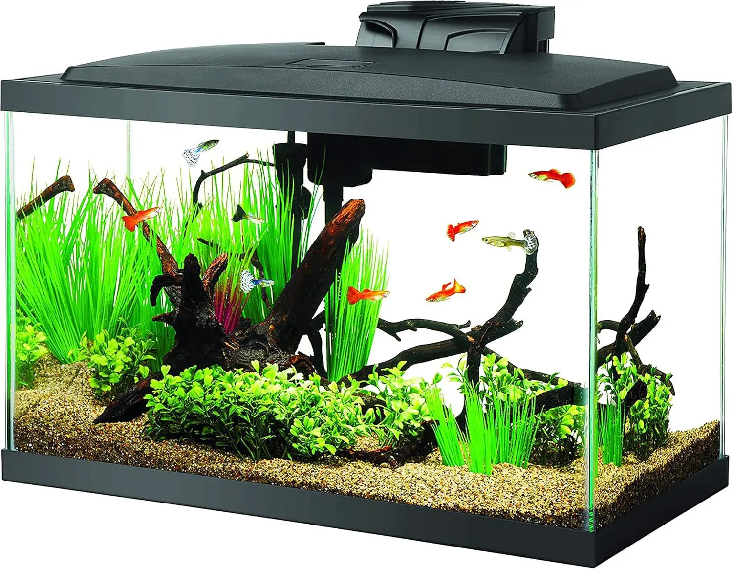 Complete 10 Gallon Aquarium Starter Kit with LED Lighting