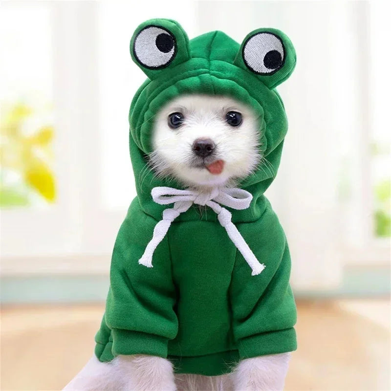 Warm Fleece pet costume; Dogs, cats Clothes Apple, Banana, Carrot, Fruit.