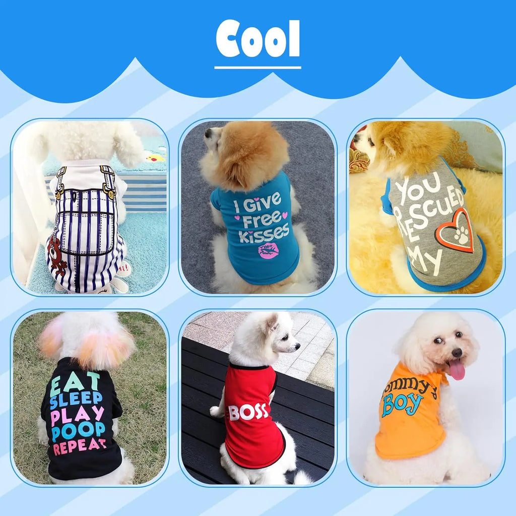6 Pack Clothes for Small Dogs and cats