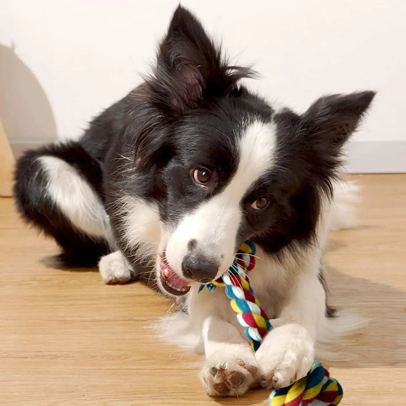 Interactive Braided Dog Chew Ropes