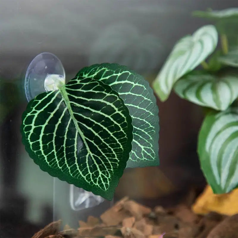 Aquarium fish Leaf Hammock