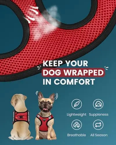 Lightweight Service Vest for Small Dogs