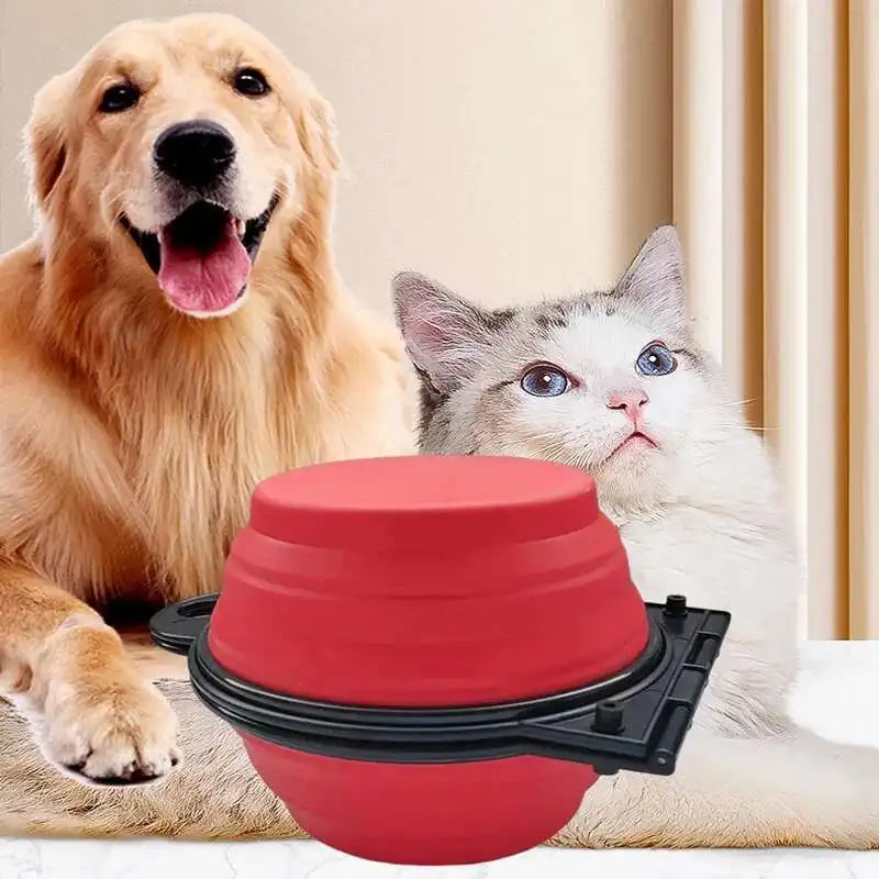 2 in 1 Collapsible Dog Travel Bowl