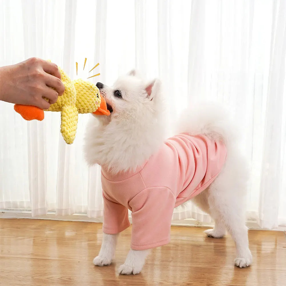 Duck Chew Toy with Quacking Sounds for Dogs.