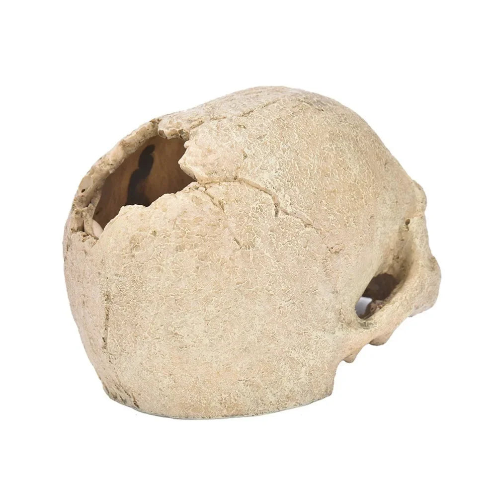 Fish Tank Aquarium Skull Decoration and  Breeding House