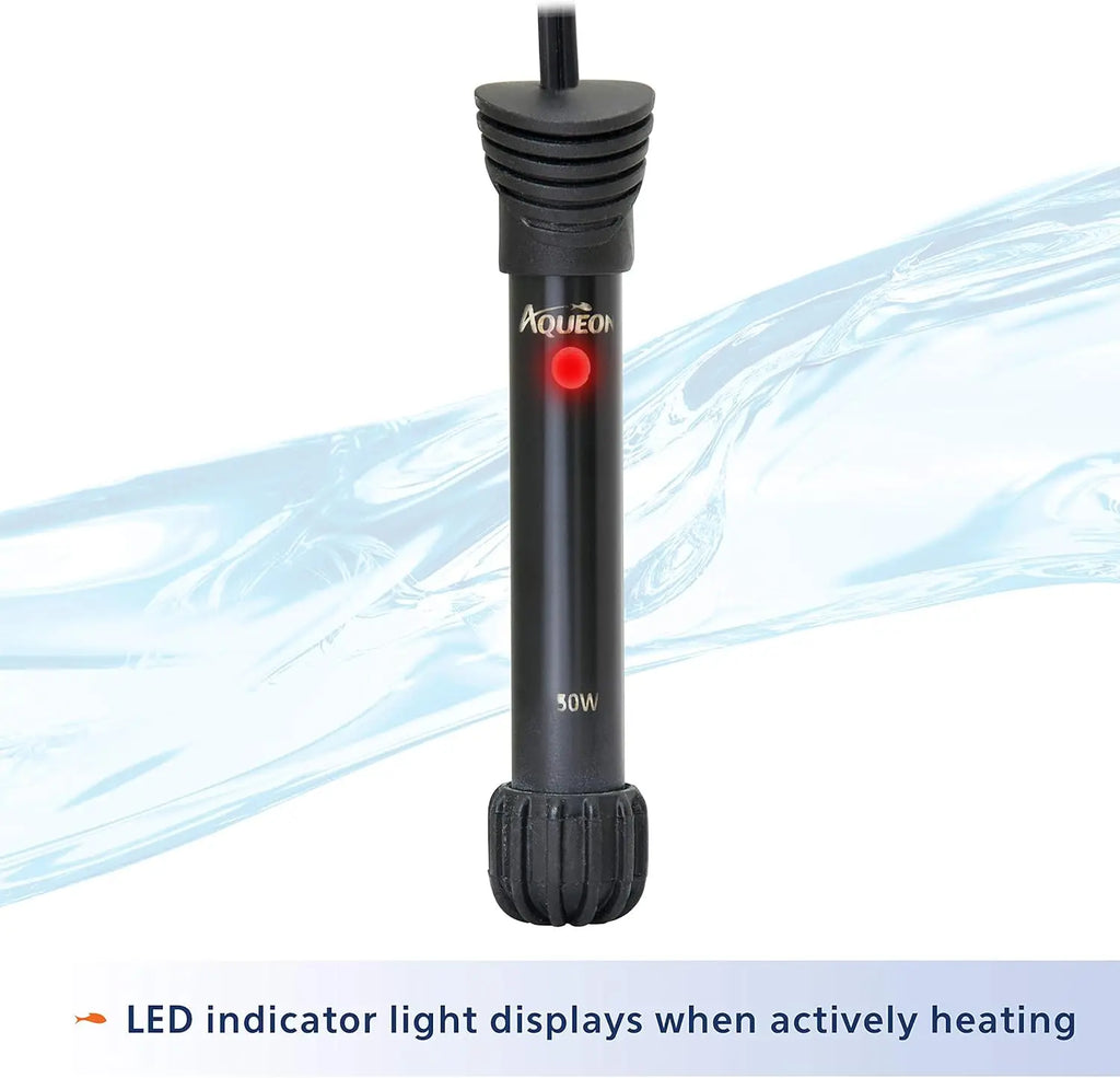 Complete 10 Gallon Aquarium Starter Kit with LED Lighting