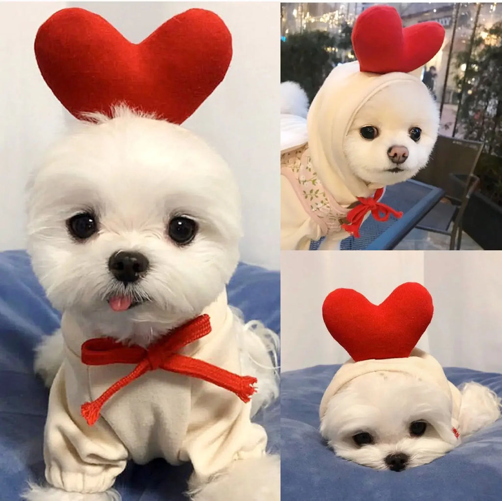 Warm Fleece pet costume; Dogs, cats Clothes Apple, Banana, Carrot, Fruit.