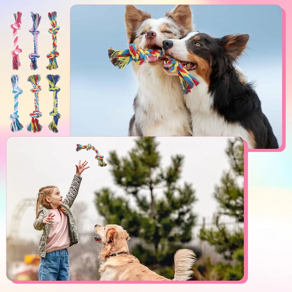 Interactive Braided Dog Chew Ropes