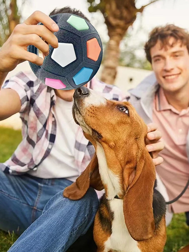 Interactive Squeaky Pet Football for Medium Large Breeds