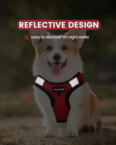 Lightweight Service Vest for Small Dogs