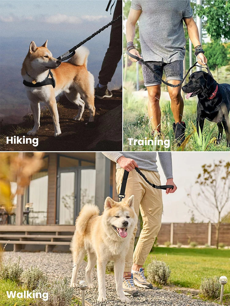 Military Dog Leashes, Adjustable, Quick Release