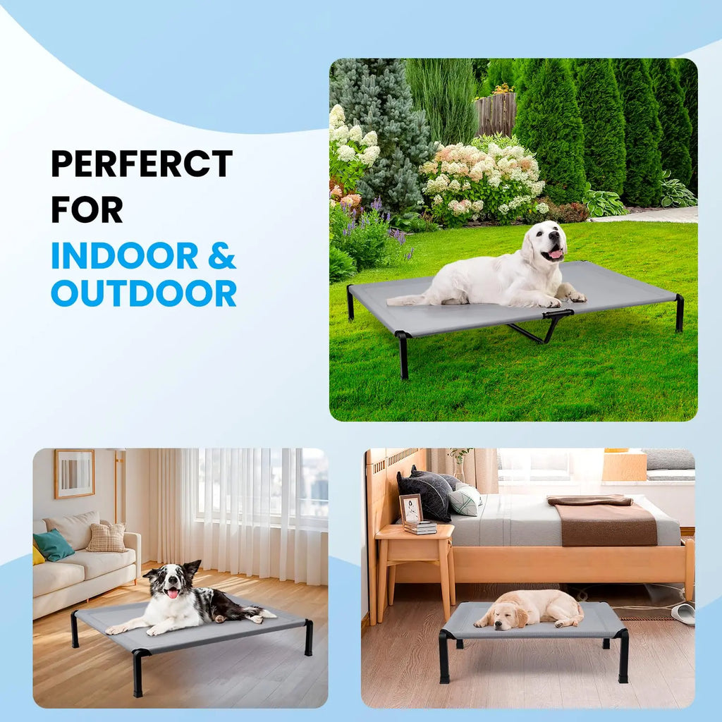 Elevated Dog Bed, Cooling Raised Pet Cot