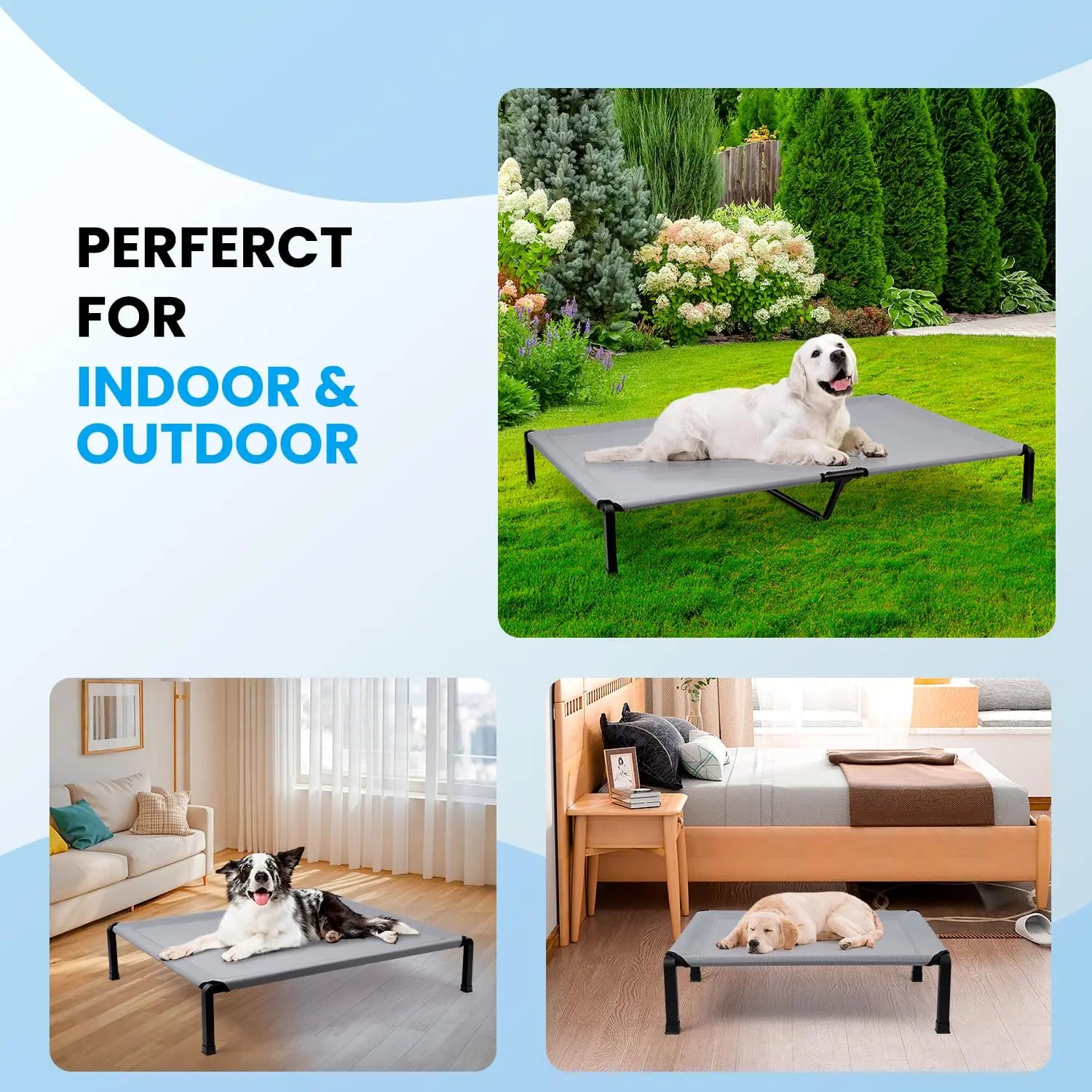 Elevated Dog Bed, Cooling Raised Pet Cot