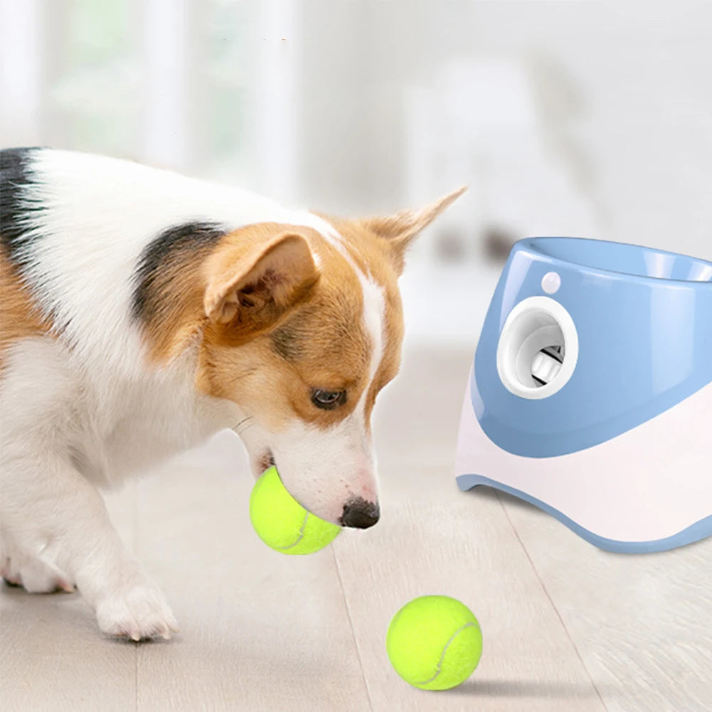 Mini Tennis Ball Launcher for dogs