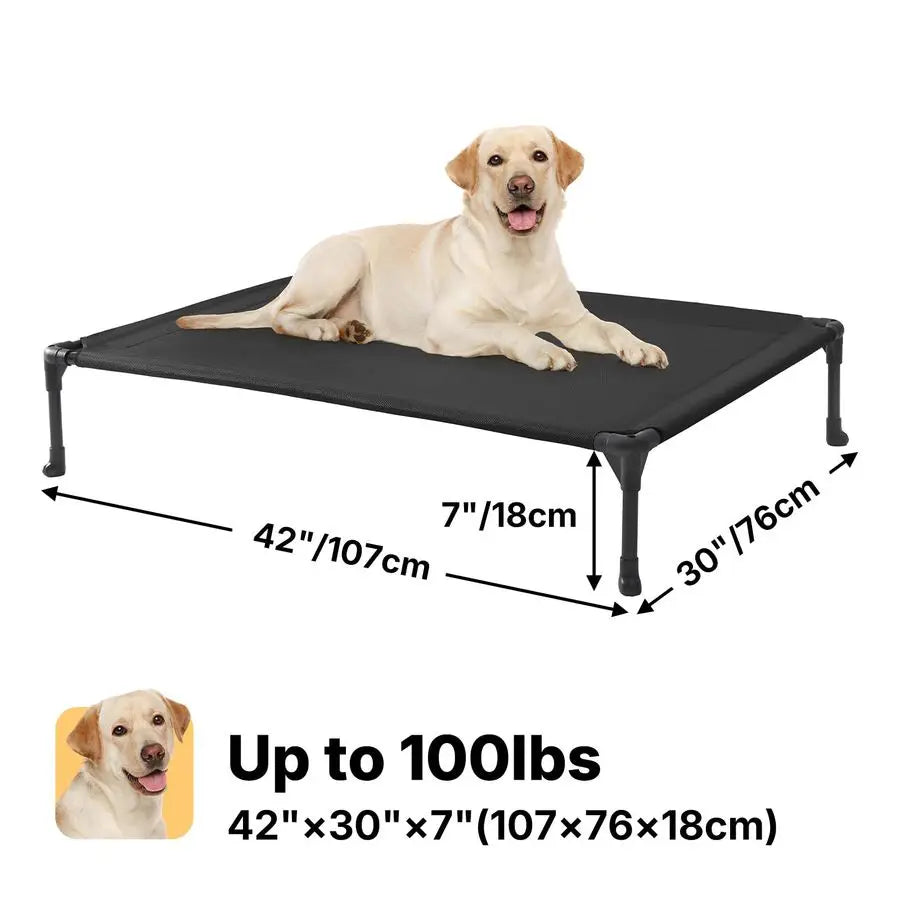 Outdoor Elevated Dog Bed