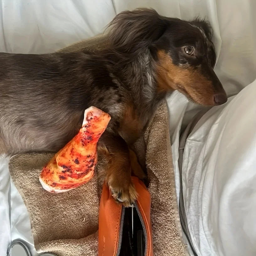 Realistic Chicken Leg Dog Chew Toy