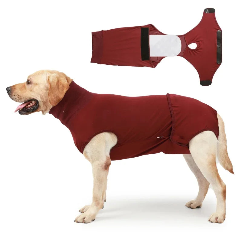 Recovery Suit for Dogs Cats After Surgery