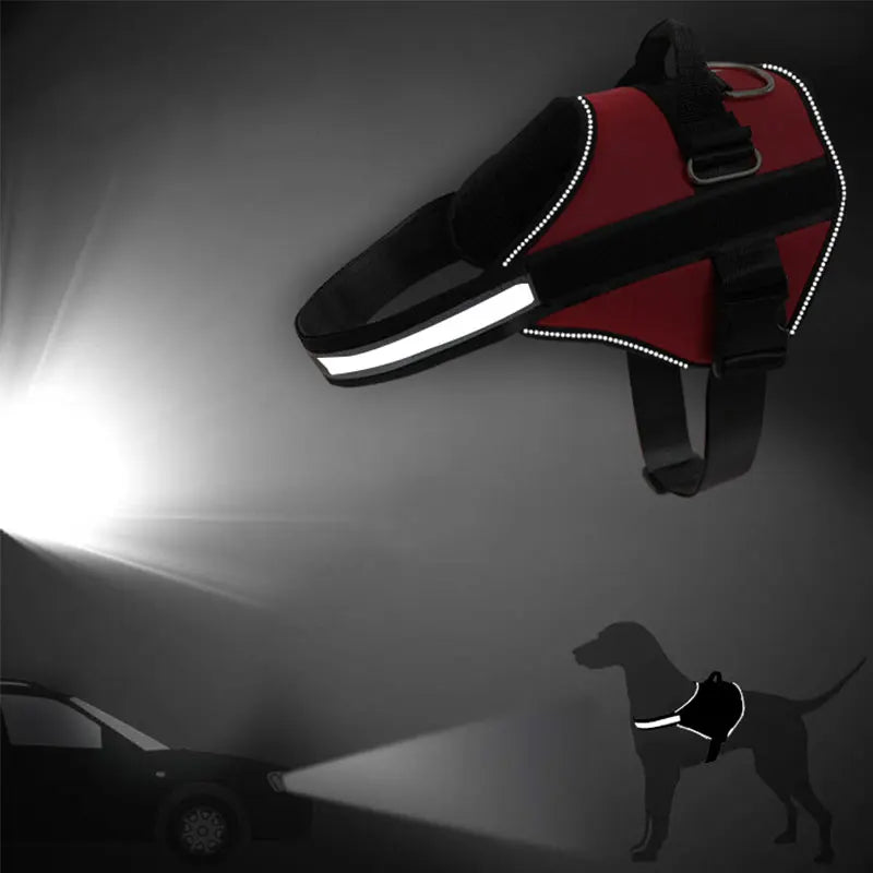 Reflective, No Pull personalized  Dog Harness