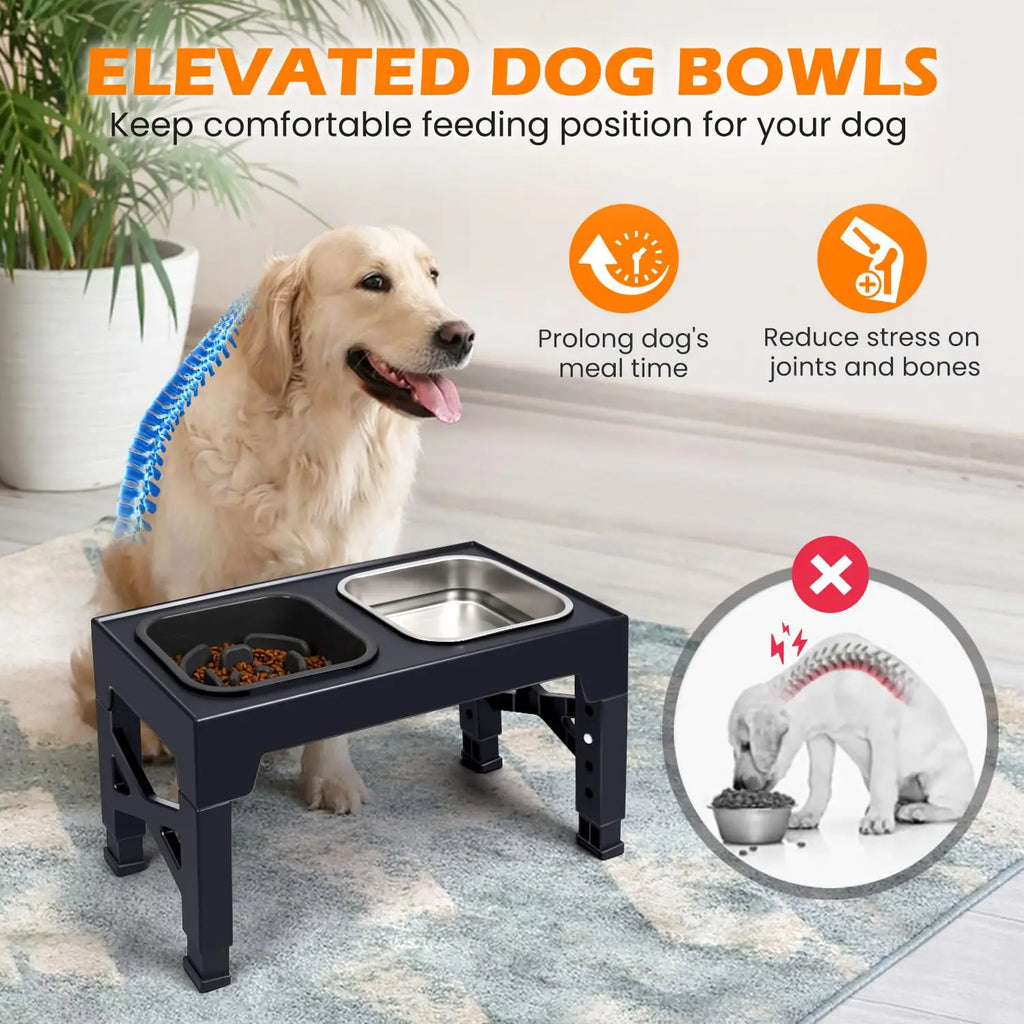 2-in-1 Elevated Slow Feeder Dog Bowls